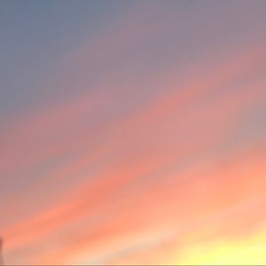 Meet your Posher, Gianna